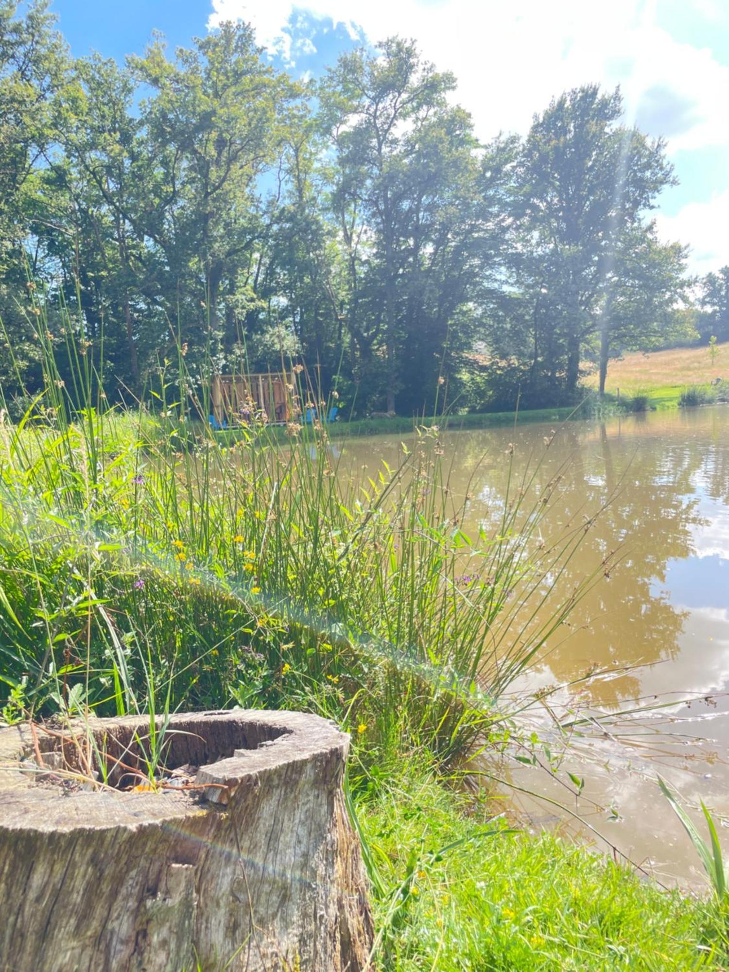Gite Neuf Avec Jardin, Foret Et Etang Argenton Sur Creuse Екстер'єр фото